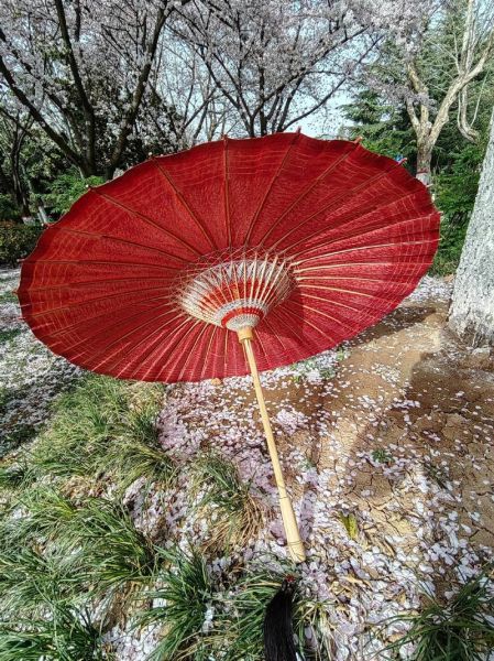 非物质文化遗产油纸伞（新手第一次做油纸伞用什么纸最好）-第1张图片-八三百科