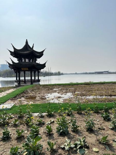 上虞 非物质文化遗产（上虞非遗有哪些值得一探的宝藏）-第3张图片-八三百科