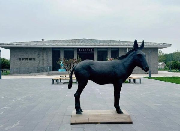 毛驴非物质文化遗产（毛驴非物质文化遗产是第几项）-第1张图片-八三百科