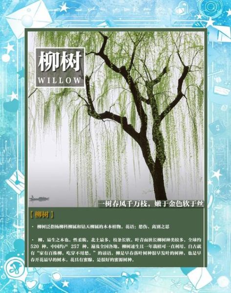 非物质文化遗产柳文化（非物质文化遗产柳文化是什么）-第1张图片-八三百科