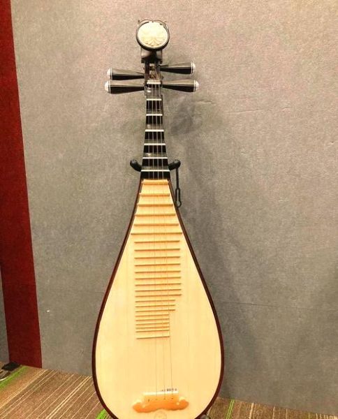 琵琶非物质文化遗产（琵琶非物质文化遗产有哪些传承流派）-第1张图片-八三百科