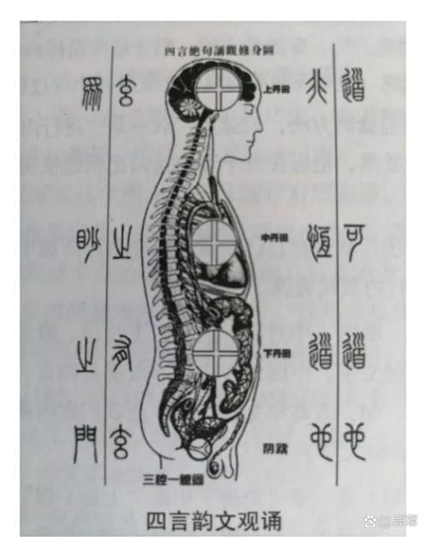 非物质文化遗产循经正骨（非物质文化遗产循经正骨入门指南）-第2张图片-八三百科