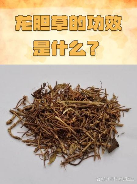 非物质文化遗产龙胆(龙胆中药饮片功效作用全解析)-第3张图片-八三百科 非物质文化遗产龙胆(龙胆中药饮片功效作用全解析)-第3张图片-八三百科