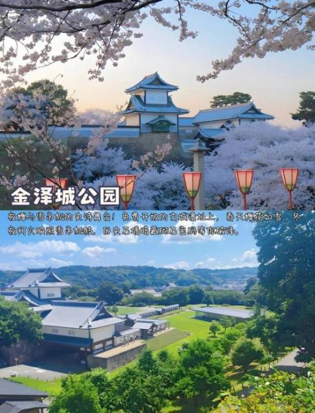 金泽非物质文化遗产网（金泽非遗旅游攻略最火玩法）-第2张图片-八三百科