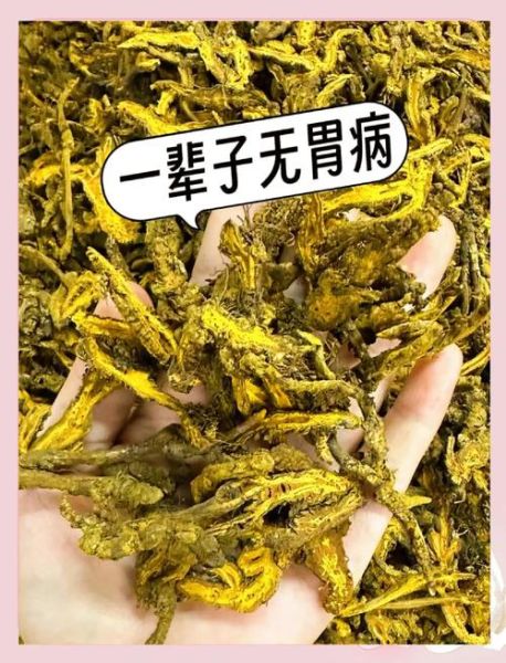 非物质文化遗产胃病（慢性胃炎中医偏方非遗技艺真的有效吗）-第2张图片-八三百科