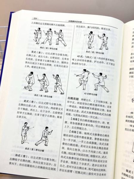 非物质文化遗产之太极拳（太极拳非物质文化遗产练多久能入门）-第2张图片-八三百科