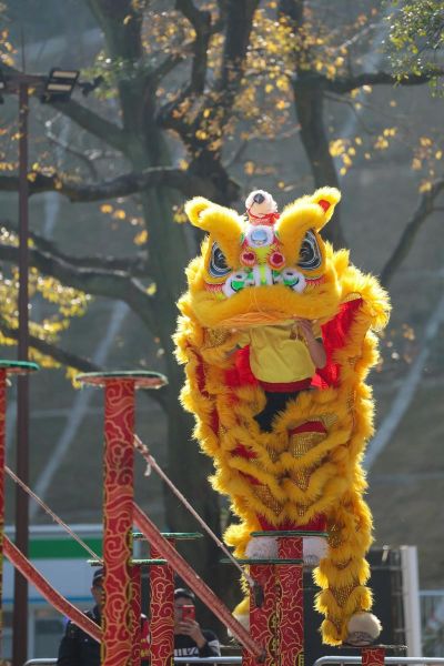 非物质文化遗产舞牛舞狮（舞牛舞狮表演由来及习俗全图解）-第3张图片-八三百科