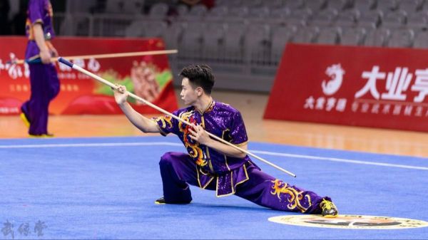 非物质武术文化遗产作品（正宗非物质武术文化遗产套路有哪些）-第2张图片-八三百科