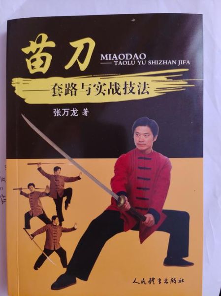 非物质武术文化遗产作品（正宗非物质武术文化遗产套路有哪些）-第3张图片-八三百科