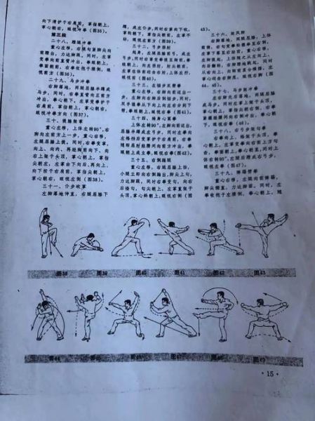 非物质武术文化遗产作品（正宗非物质武术文化遗产套路有哪些）-第1张图片-八三百科