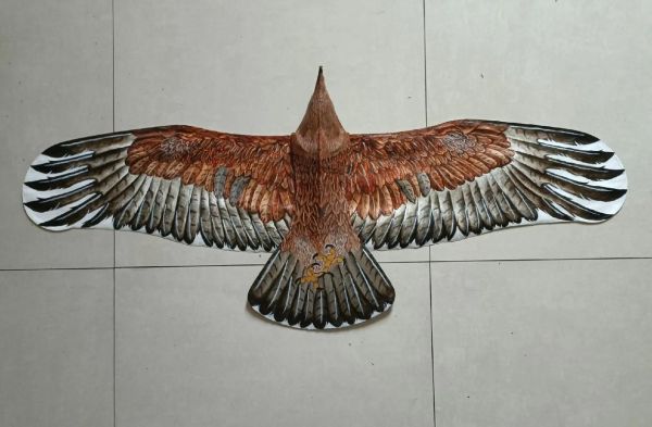 盘鹰风筝非物质文化遗产（盘鹰风筝非遗技法入门指南）-第1张图片-八三百科