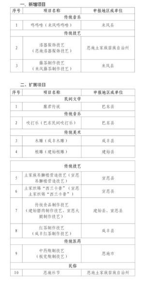 其他非物质文化遗产名录（其他非遗名录有哪些典型项目）-第1张图片-八三百科