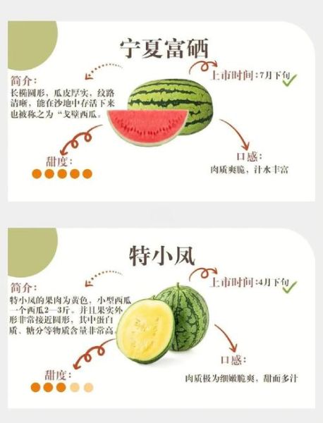 非物质文化遗产西瓜（西瓜雕刻非遗技艺入门指南）-第2张图片-八三百科