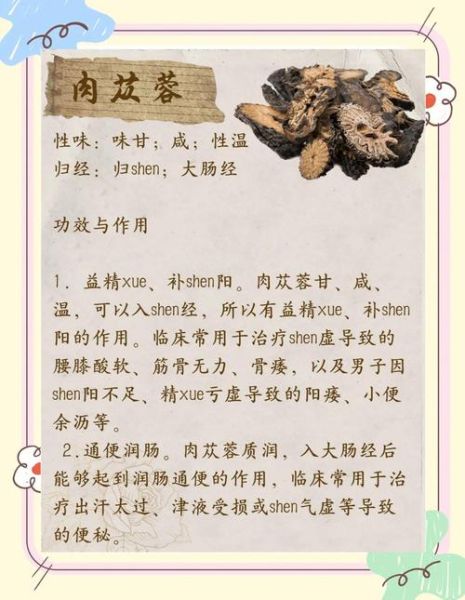 苁蓉非物质文化遗产（苁蓉非遗技艺如何传承）-第2张图片-八三百科