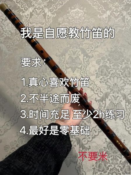 非物质文化遗产笛子视频（笛子入门教程非遗视频怎么选）-第2张图片-八三百科