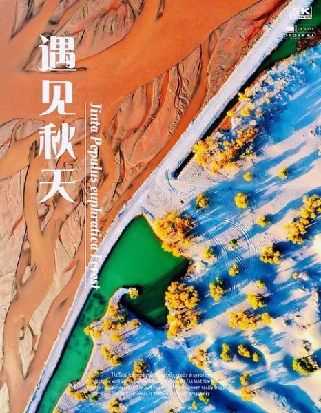 金塔县的非物质文化遗产（金塔县非物质文化遗产名录全览）-第1张图片-八三百科