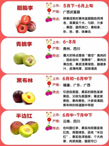 水果非物质文化遗产（非遗水果有哪些？新手看懂中国土特产申遗门道）-第3张图片-八三百科