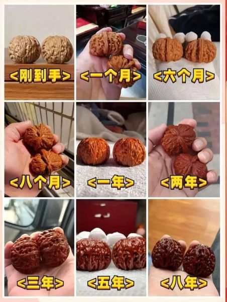 核桃非物质文化遗产（核桃非遗技艺传承流程怎么走）-第1张图片-八三百科