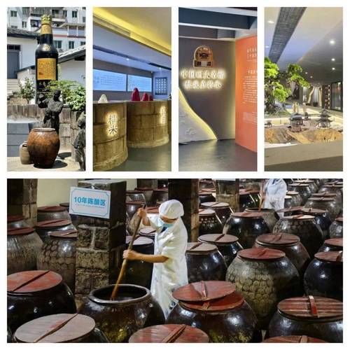 临潼非物质文化遗产醋（临潼非遗醋怎么做？新手入门全流程）-第3张图片-八三百科