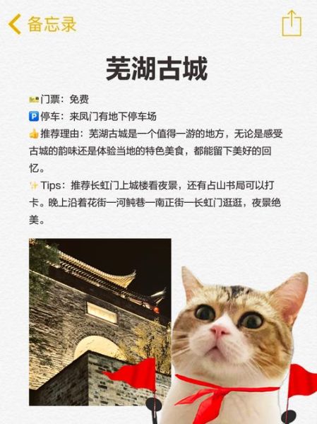 芜湖市非物质文化遗产网（芜湖非遗网站有哪些？这5个入口你一定要收藏）-第3张图片-八三百科