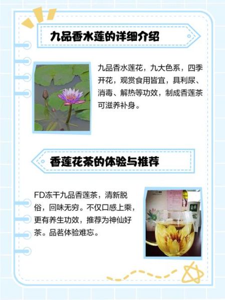 如皋非物质文化遗产莲香（如皋莲香怎么学？老艺人亲授零基础入门教程）-第1张图片-八三百科