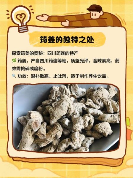 河南姜非物质文化遗产（河南姜传统制作技艺是不是非遗？）-第1张图片-八三百科