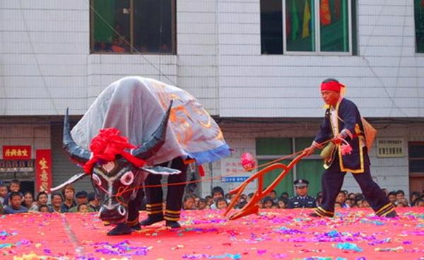 非物质文化遗产舞牛图片（非物质文化遗产舞牛图片在哪看？）-第1张图片-八三百科