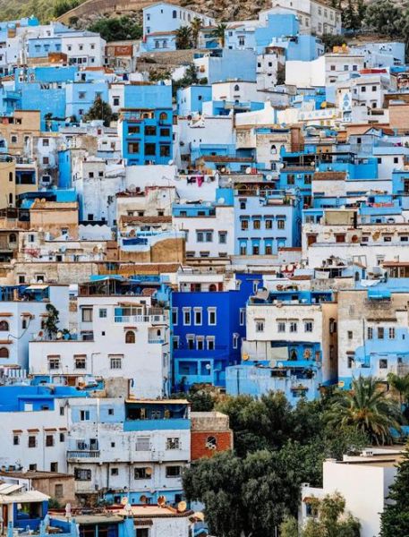 摩纳哥非物质文化遗产(摩纳哥有哪些非遗名录)-第2张图片-八三百科 摩纳哥非物质文化遗产(摩纳哥有哪些非遗名录)-第2张图片-八三百科