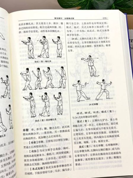 兰溪非物质文化遗产南拳(兰溪南拳非遗怎么学?入门路线实测)-第3张图片-八三百科 兰溪非物质文化遗产南拳(兰溪南拳非遗怎么学?入门路线实测)-第3张图片-八三百科