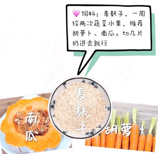 非物质文化遗产蛐蛐(蛐蛐怎么养?新手非遗蛐蛐饲养全指南)-第2张图片-八三百科 非物质文化遗产蛐蛐(蛐蛐怎么养?新手非遗蛐蛐饲养全指南)-第2张图片-八三百科