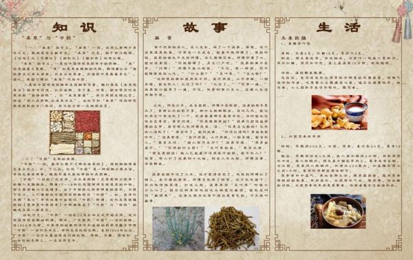 中医文化非物质文化遗产(中医文化非遗项目有哪些)-第3张图片-八三百科 中医文化非物质文化遗产(中医文化非遗项目有哪些)-第3张图片-八三百科