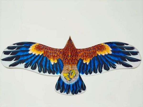 风筝 非物质文化遗产（风筝申遗成功了吗？目前仍在冲刺中）-第2张图片-八三百科