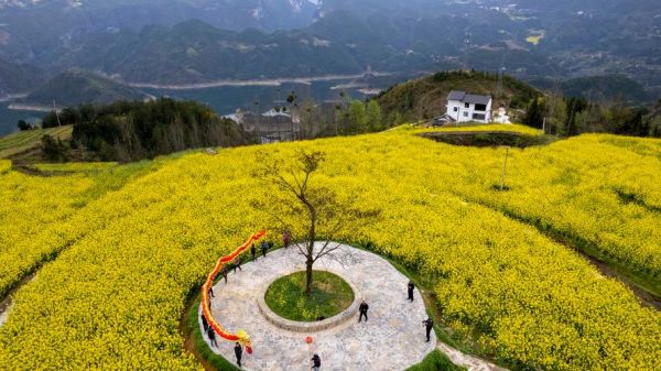 云阳非物质文化遗产（云阳非物质文化遗产有哪些）-第3张图片-八三百科